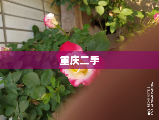 重庆二手
