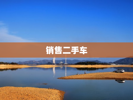 销售二手车