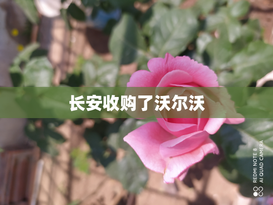 长安收购了沃尔沃