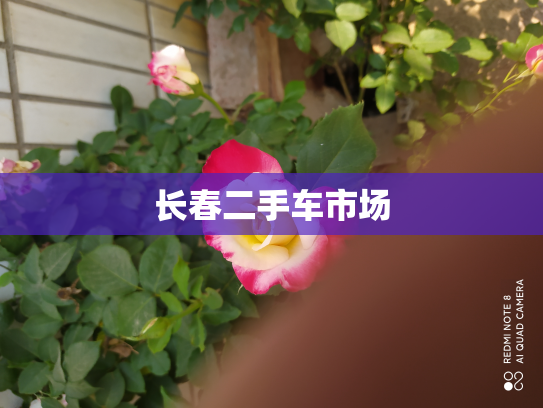 长春二手车市场
