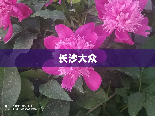 长沙大众