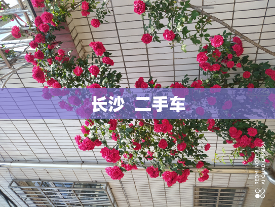 长沙  二手车