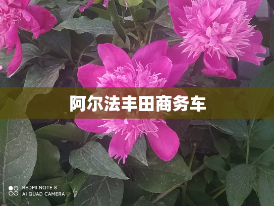 阿尔法丰田商务车