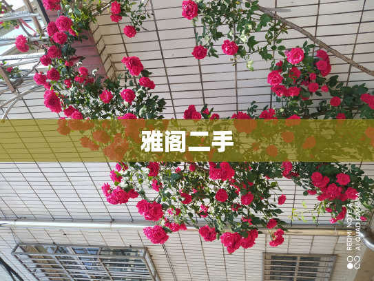 雅阁二手