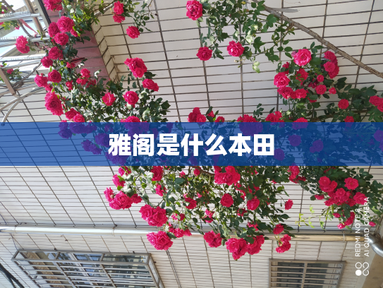 雅阁是什么本田