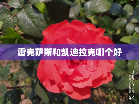 雷克萨斯和凯迪拉克哪个好