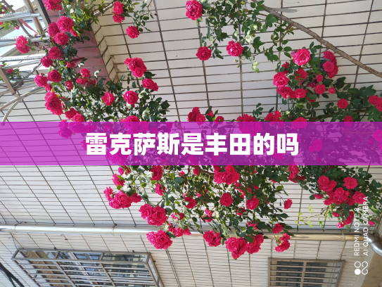 雷克萨斯是丰田的吗