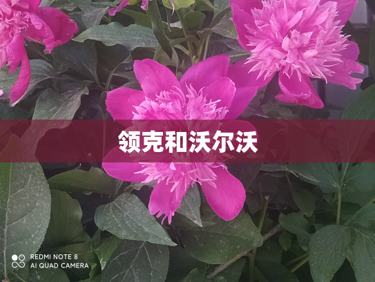 领克和沃尔沃