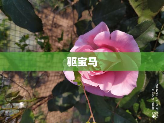 驱宝马