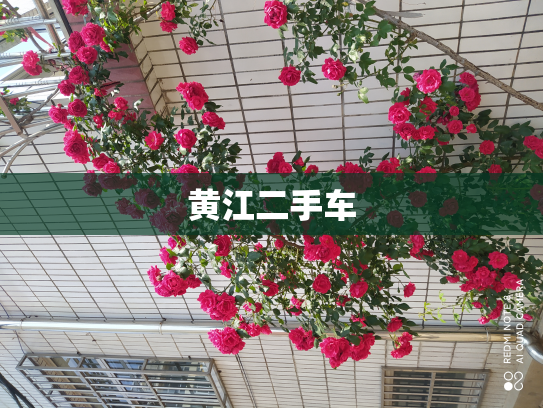 黄江二手车