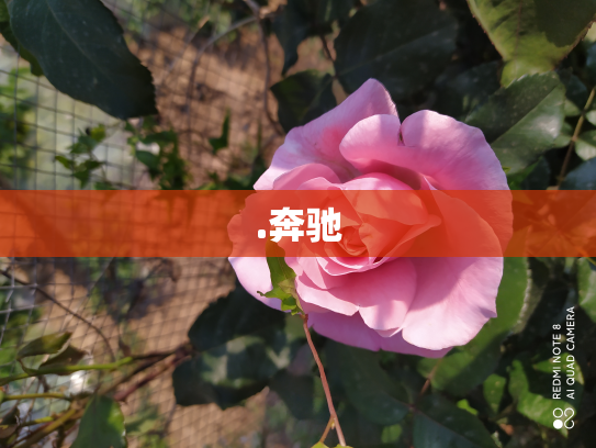 .奔驰