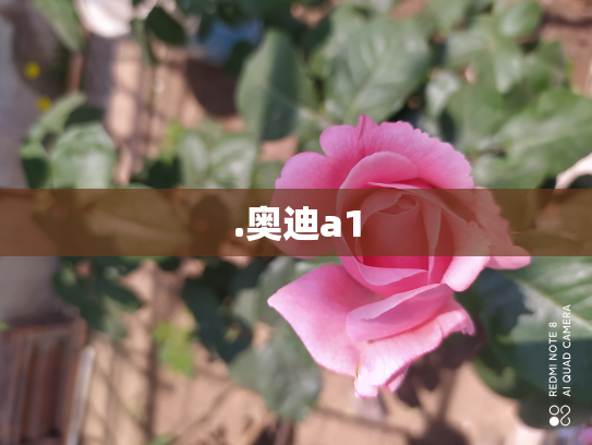 .奥迪a1