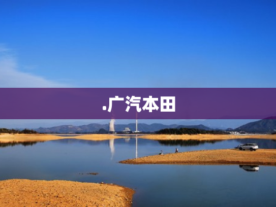 .广汽本田
