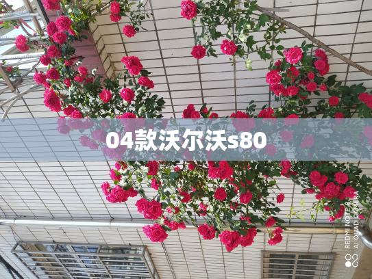 04款沃尔沃s80