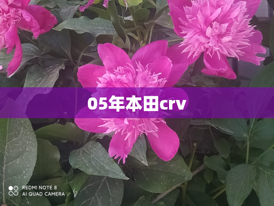 05年本田crv