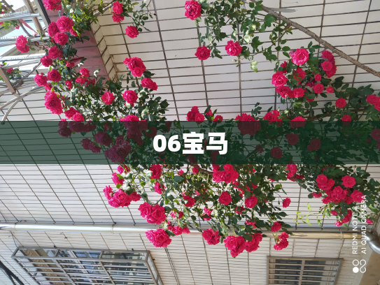 06宝马