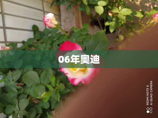 06年奥迪