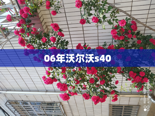06年沃尔沃s40