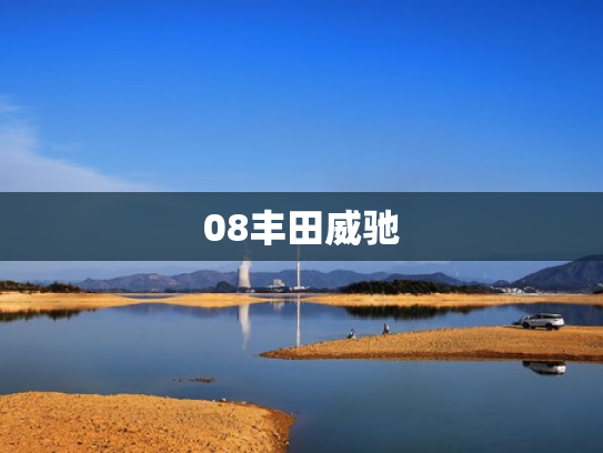 08丰田威驰