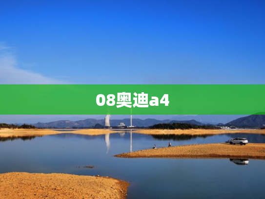 08奥迪a4