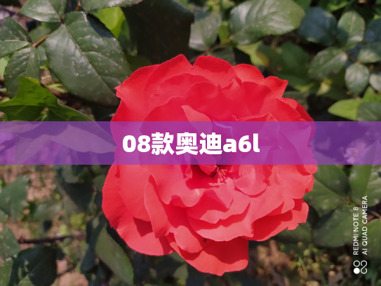 08款奥迪a6l
