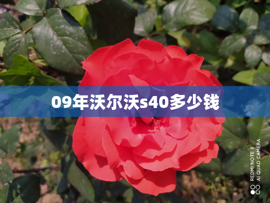 09年沃尔沃s40多少钱