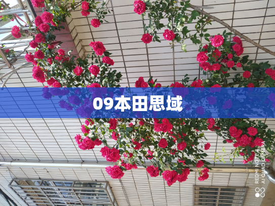 09本田思域