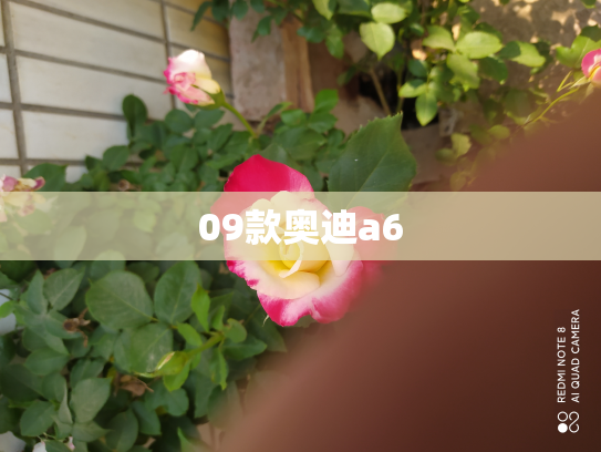 09款奥迪a6