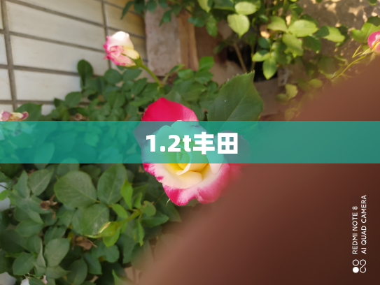 1.2t丰田