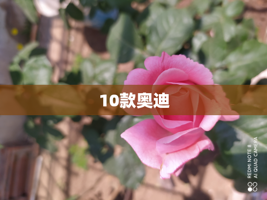10款奥迪