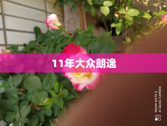 11年大众朗逸