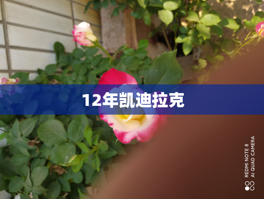 12年凯迪拉克