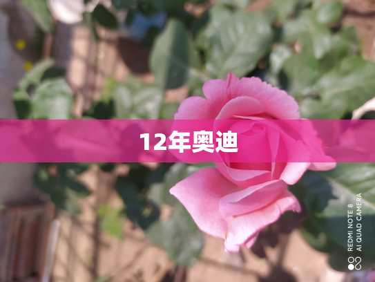 12年奥迪