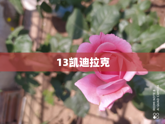 13凯迪拉克