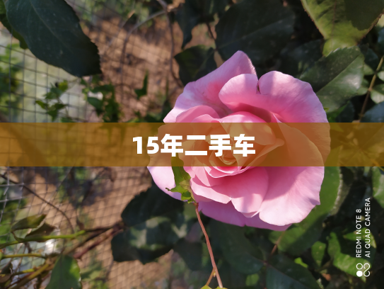 15年二手车