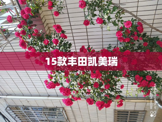 15款丰田凯美瑞