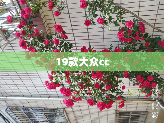 19款大众cc