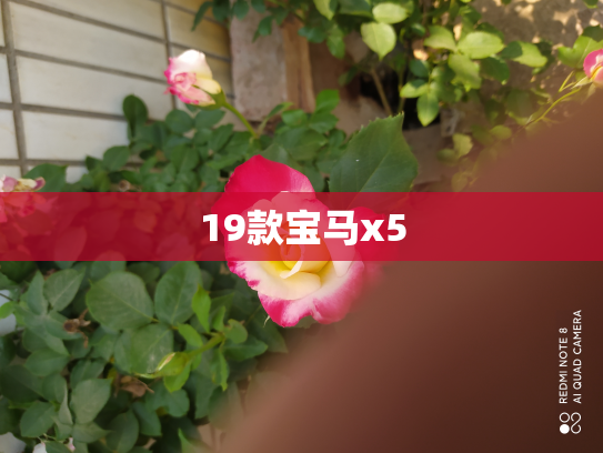 19款宝马x5