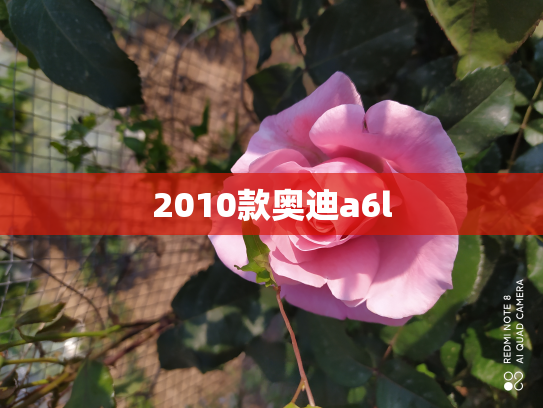 2010款奥迪a6l