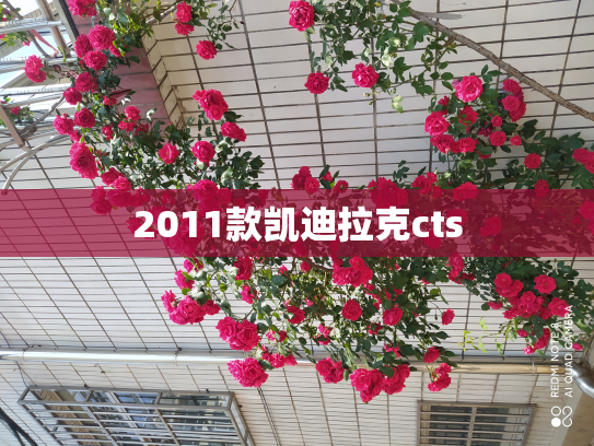 2011款凯迪拉克cts