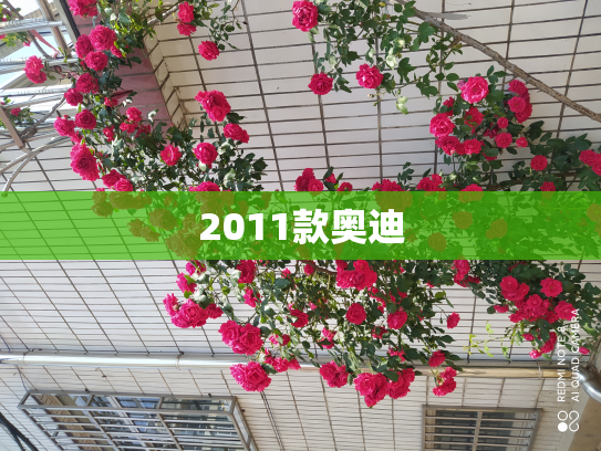 2011款奥迪
