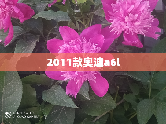 2011款奥迪a6l