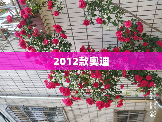 2012款奥迪
