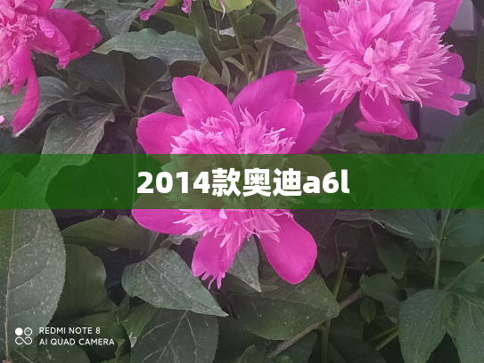 2014款奥迪a6l