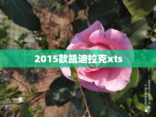 2015款凯迪拉克xts
