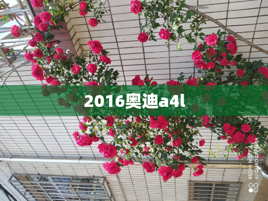 2016奥迪a4l