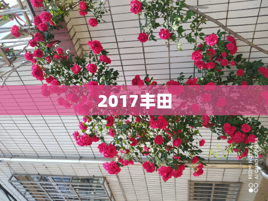 2017丰田