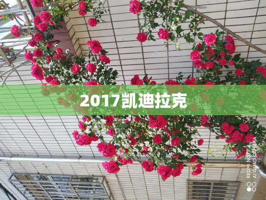 2017凯迪拉克