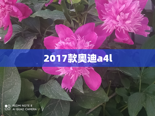 2017款奥迪a4l