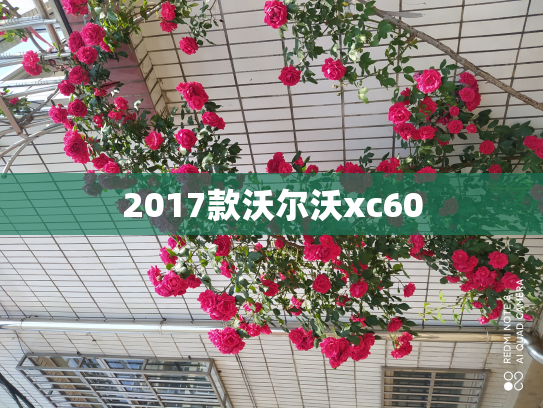 2017款沃尔沃xc60